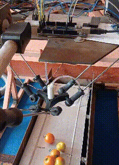 Industrial Delta Robot